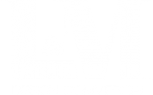 logo L&M design